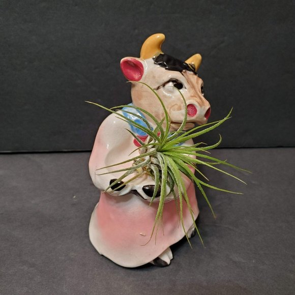 Cow Air Plant Holder, Airplant Gift, Farm Animal Planter, Cow Figurine, Airplant - Picture 4 of 9